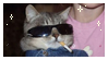 cat with sunglasses stamp